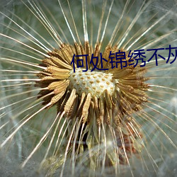 何处锦(錦)绣不灰堆(堆)