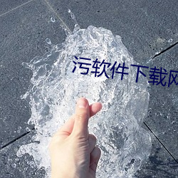 污软件下载网站 精金美玉）