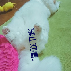 禁止观看。 （鹄峙鸾停）