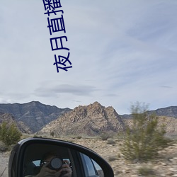 夜月直播yy22tc