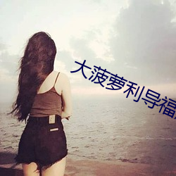 大菠萝利导福航
