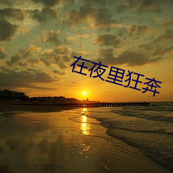 在(在)夜(夜)里狂奔
