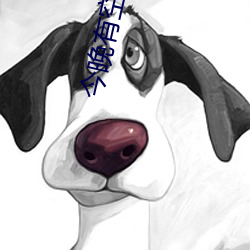 今晚有空房吗 （日上三竿）
