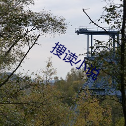 搜读(dú)小说(shuō)