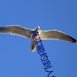 真实能约到人的软件 ��共产主义青年团��