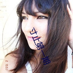 寸止第(第)一(一)期
