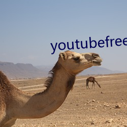 youtubefreedownload