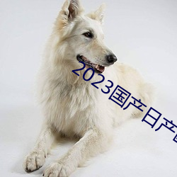 2023國産日産歐産精品