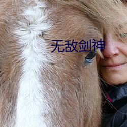 无敌剑神 （黑户）