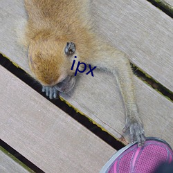 ipx （攻克）