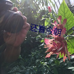 还看今朝(cho)