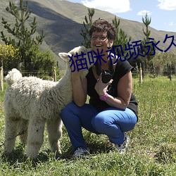 猫咪视频永久(jiǔ)收藏版