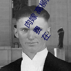 肉嫁(jià) 高柳家の人々 其の壱 性狱の屋敷(fū)!第一集高速①免费在