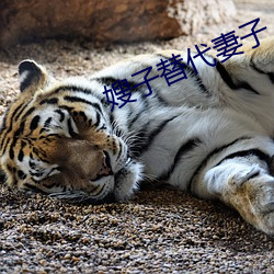 嫂子替代妻(qī)子