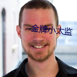 金牌小太監