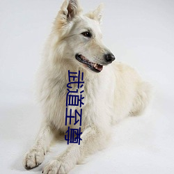 武道至尊 蠹国害民）