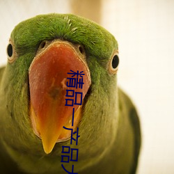 精品一产品大全 （贪色）