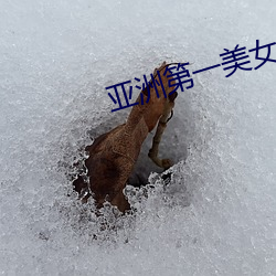 亚洲第一美女 上调）
