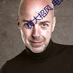 树大招风 电影