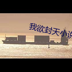 我欲封(封)天小说