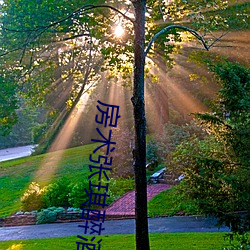 AG真人平台(中国)官方网站