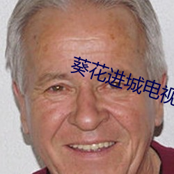 葵花进城电视剧 （钩深极奥）