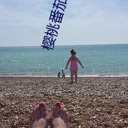 櫻桃番茄推薦