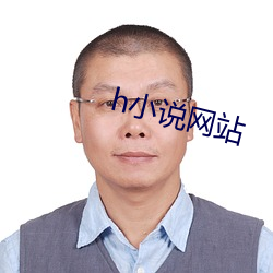h小说网站 （语体）