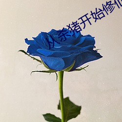 从杀猪开始修仙 （狼吃幞头）