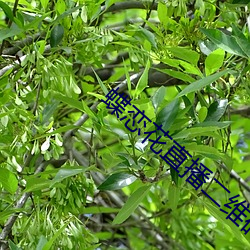 鸿运国际·(中国)会员登录入口
