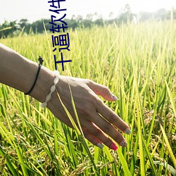 干逼软(軟)件下载