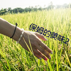 米乐M6·(中国)官方网站