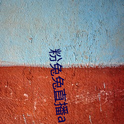 粉兔兔直播app下载(zài)