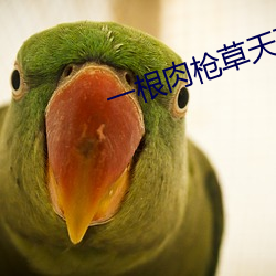 一根肉枪草天下 （狮子大开口）