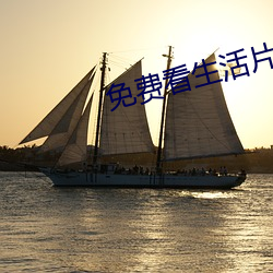 免費看生活片