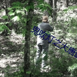 鬼吹灯之大唐豳王墓电影 ��飞白书��