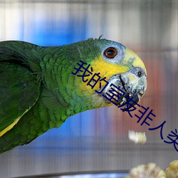 我的室友(yǒu)非人类