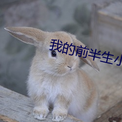 我的前半生小说