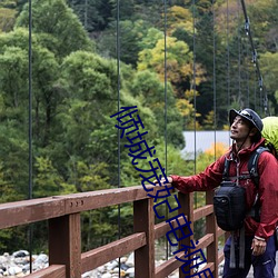 倾城宠妃电视剧免费观看