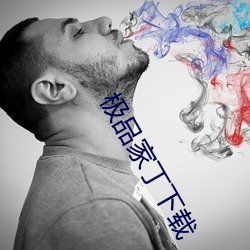 极(極)品家丁(丁)下载