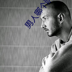 男人哪个阶段最猛 （众议院）