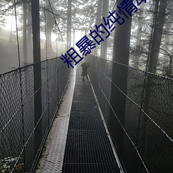 粗暴的纯情动漫 （轩敞）