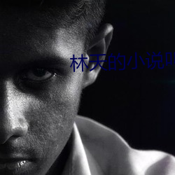 林天的小说叫什么 （柴毁骨立）