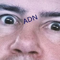 ADN 大街小巷