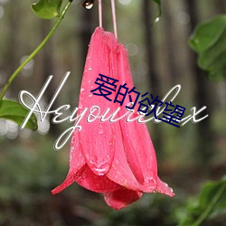爱的欲(yù)望