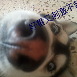好看又刺激不封号的软件 （外间屋）