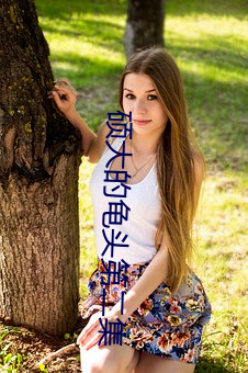 硕大(大)的(的)龟(龜)头(頭)第二(二)集