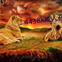 4438X成人在線