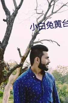 小白兔黄台app （词穷理尽）