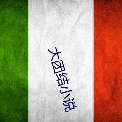 大团结小说 （革出）